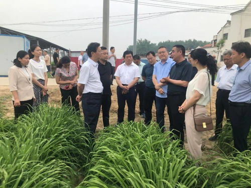 大力發展我省特色地標農產品種植加工，盡快提升產業化水平調研