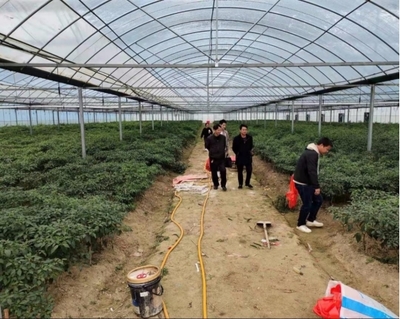 伍市鎮 多措并舉，織密織牢疫情防控期間水產養殖質量安全網